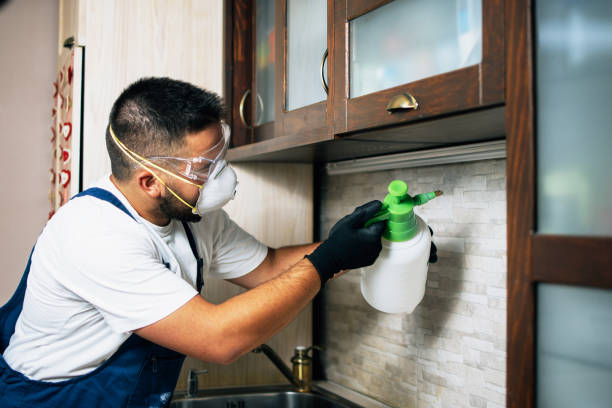 Best Local Pest Control Services  in East Foothills, CA