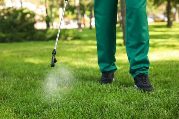 Best Termite Control Services  in East Foothills, CA