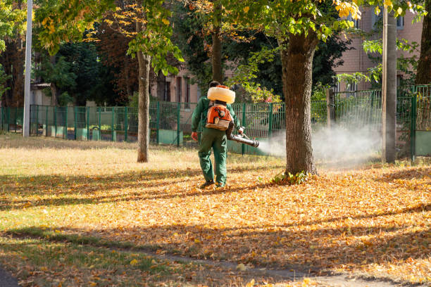Trusted East Foothills, CA Pest Control Experts