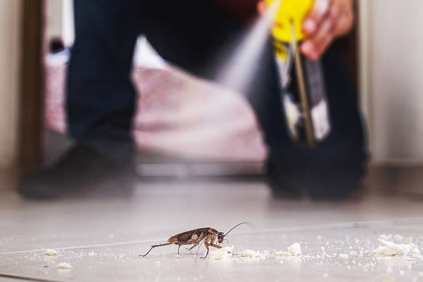 Best Best Pest Control Companies  in East Foothills, CA
